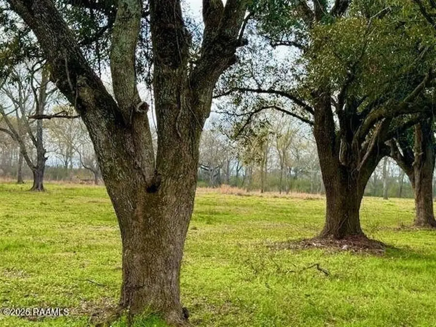 TBD 5th Street #TRACT 4, Iota, LA 70543 - Image #3