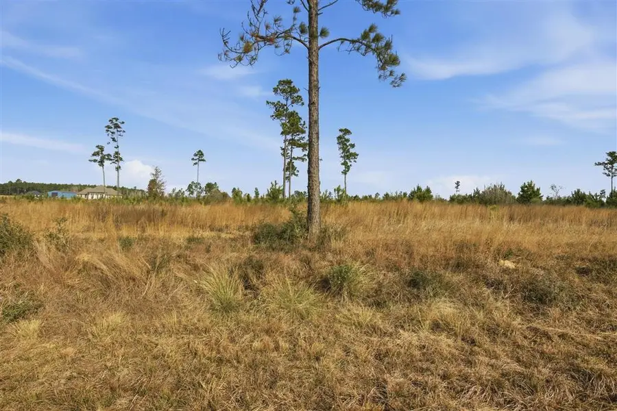 Camp Edgewood Rd Road, Dequincy, LA 70633 - #2