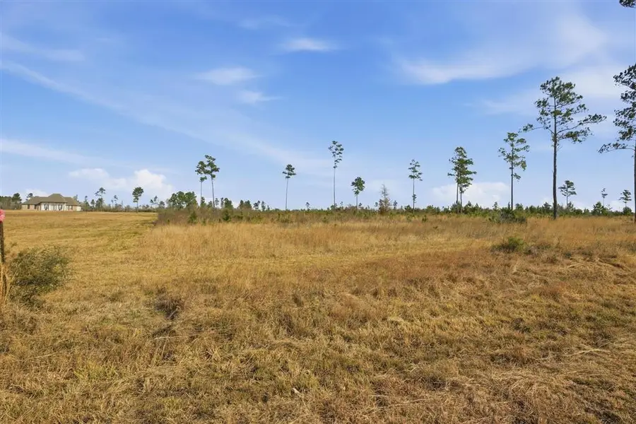 Camp Edgewood Rd Road, Dequincy, LA 70633 - #3