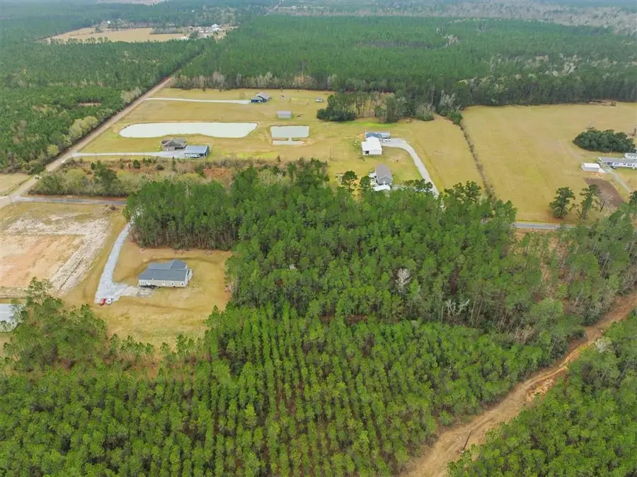 Howard Royer Road, Dequincy, LA 70633 - #3