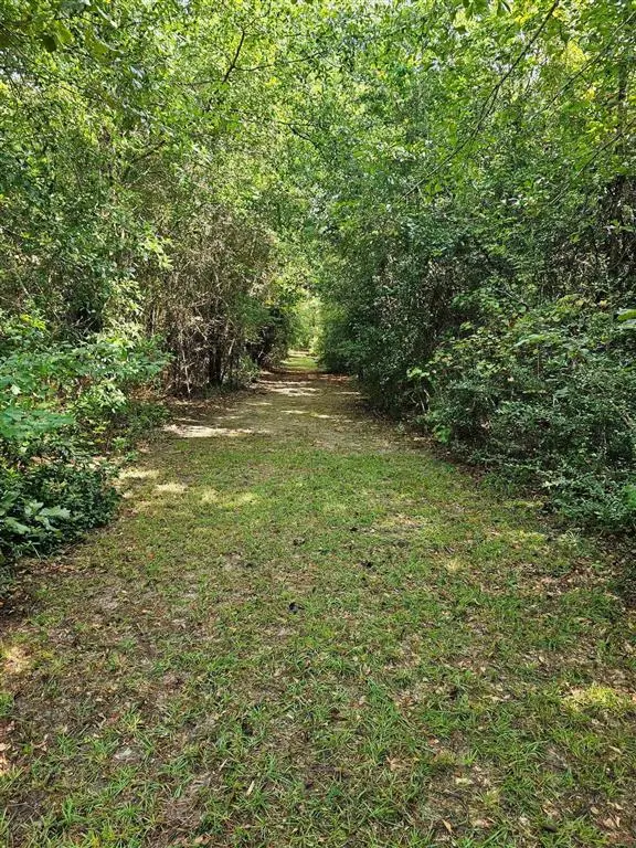 TBD Old River Road, Starks, LA 70661 - #2