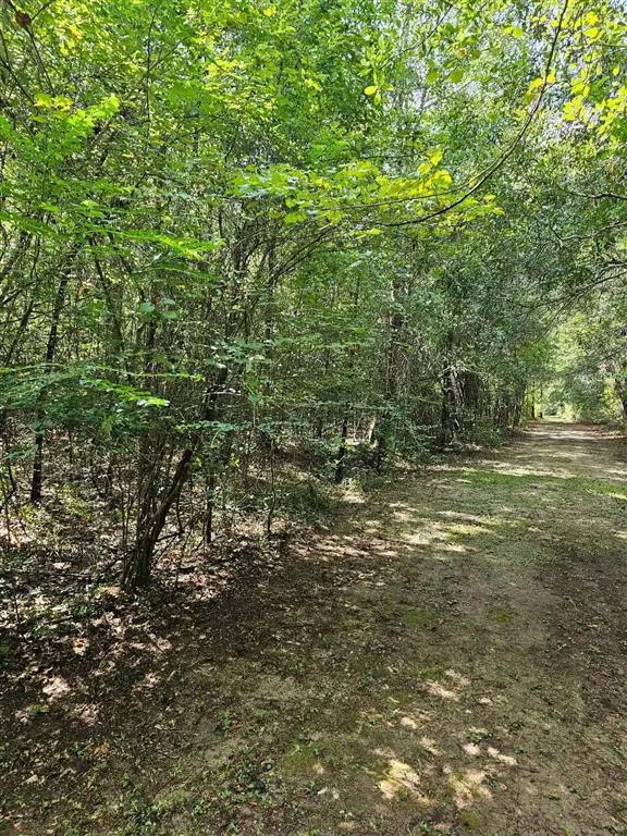 TBD Old River Road, Starks, LA 70661 - #3