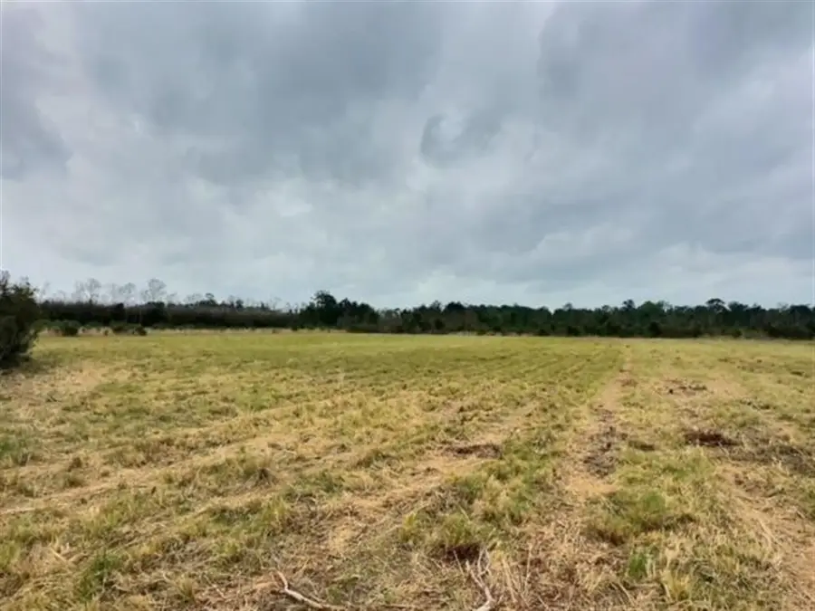 TBD Allen Dale, Ragley, LA  - #3