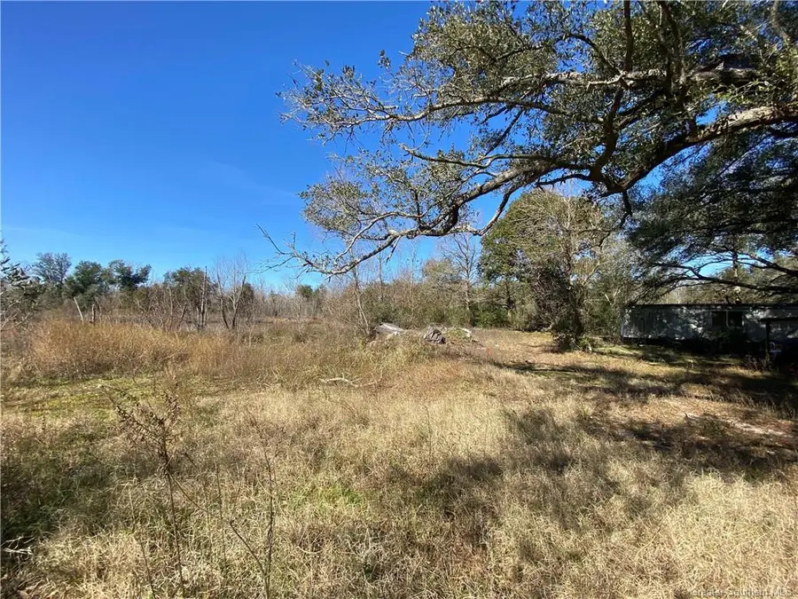 16305 Windmill Lane, Iowa, LA 70647 - #2