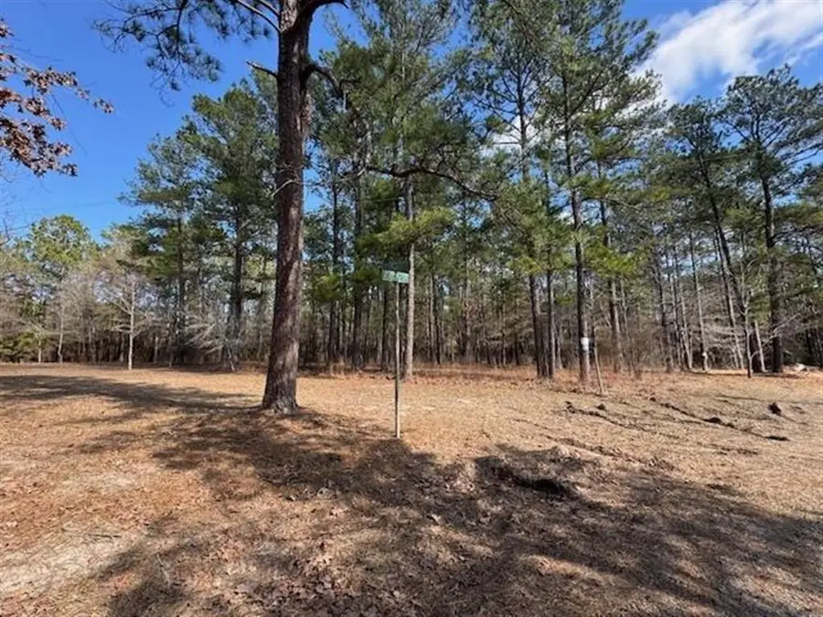 Lotus Lane, Anacoco, LA 71403 - #3