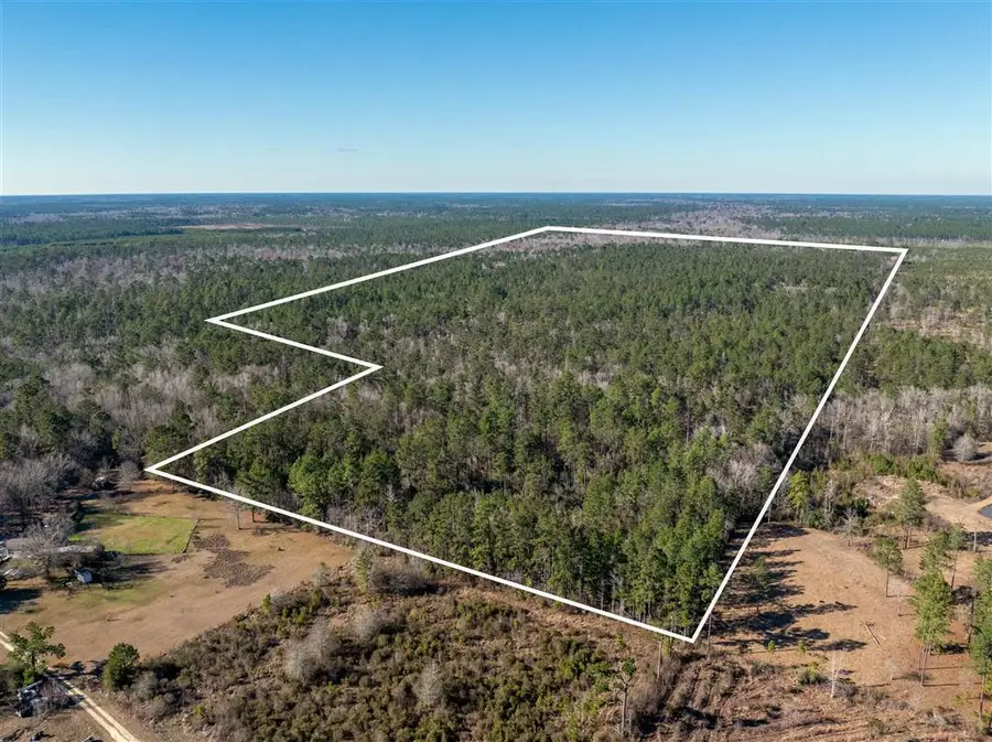 TBD Bushnell Lane, Dequincy, LA  - #2