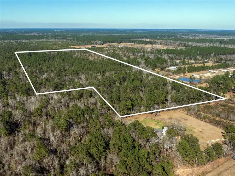 TBD Bushnell Lane, Dequincy, LA  - #3