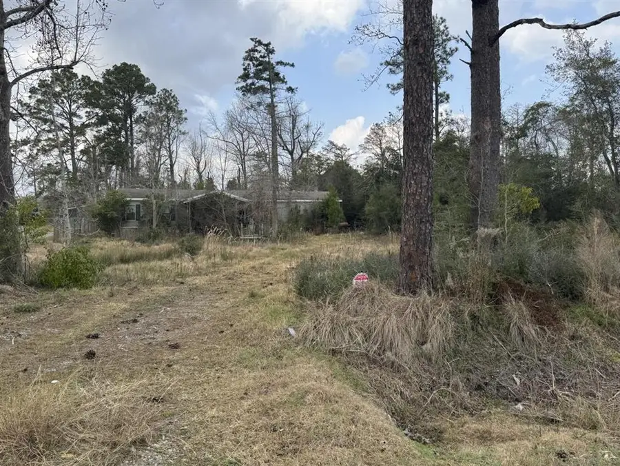 1768 Pinewood Drive, Moss Bluff, LA  - #2