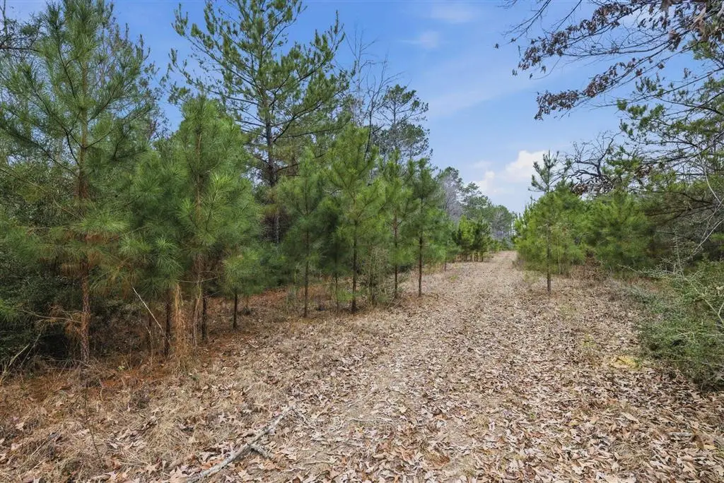 1365 Mouth Of The Creek Road, Merryville, LA 70653 - #1