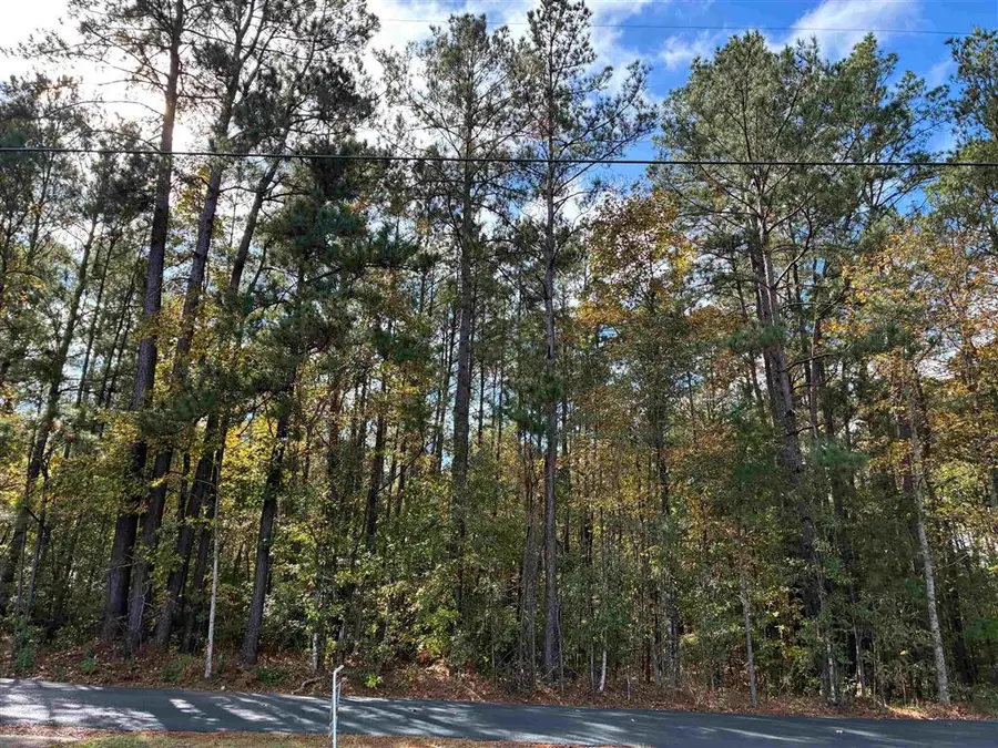 TBD Section Line Road, Leesville, LA 71446 - #2