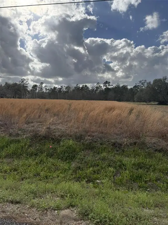 0 Choupique Road, Sulphur, LA 70665 - #2