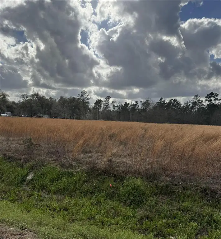0 Choupique Road, Sulphur, LA 70665 - #3