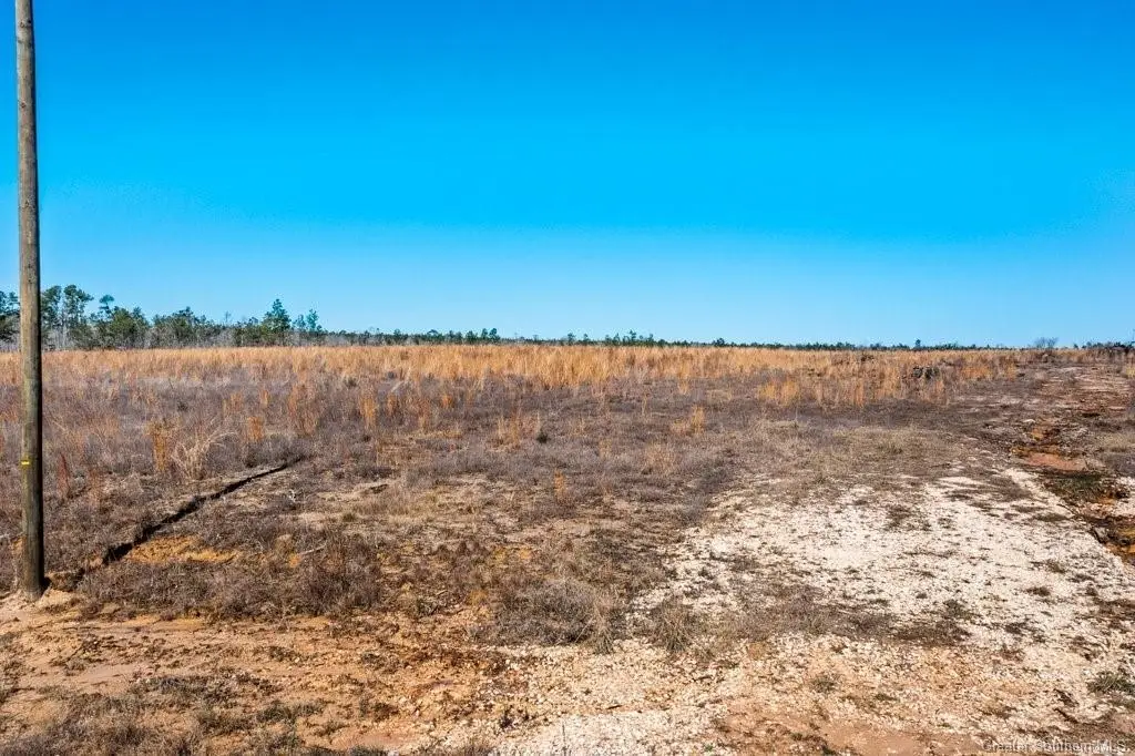 1806 Whittington Road, Longville, LA  - #1