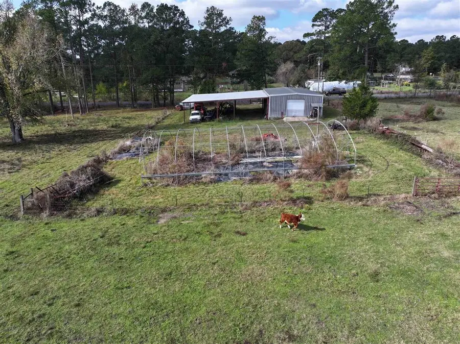 Tank Trail Road, Leesville, LA 71446 - #3