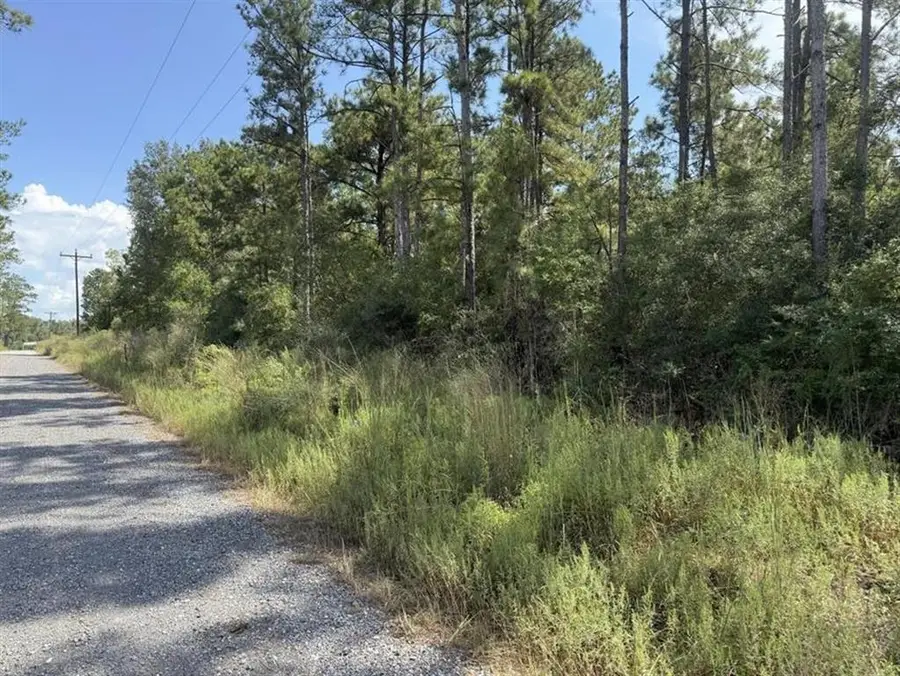 12830 Highway 171, Longville, LA 70652 - #2