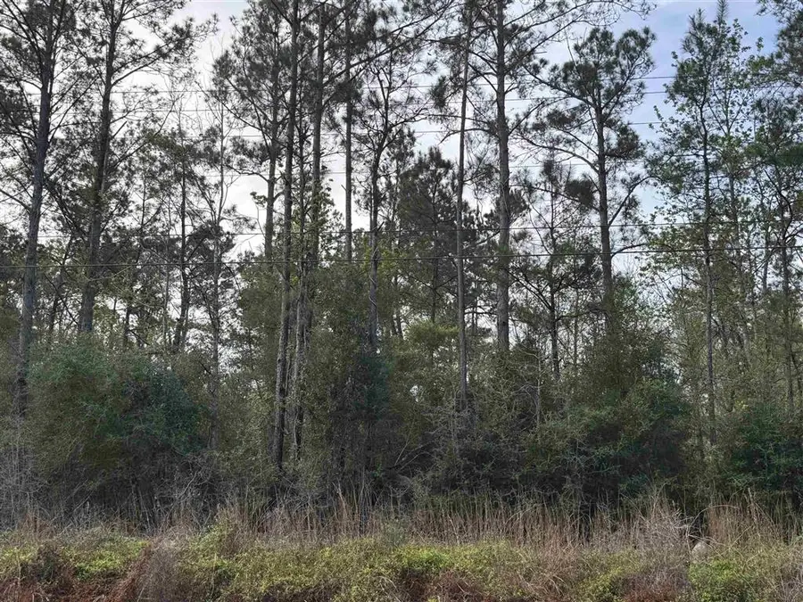 TBD Houston River Road, Sulphur, LA 70663 - #3
