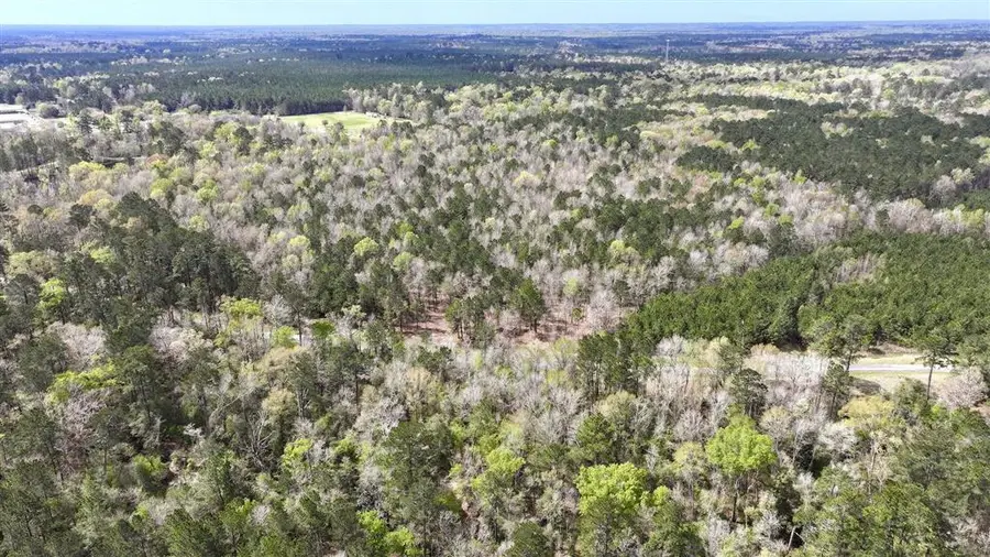 TBD Jarrell Loop, Evans, LA 70639 - #3