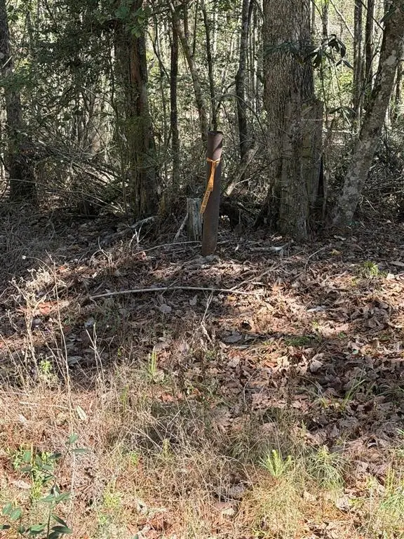 Simmons Road, Deridder, LA 70634 - #2