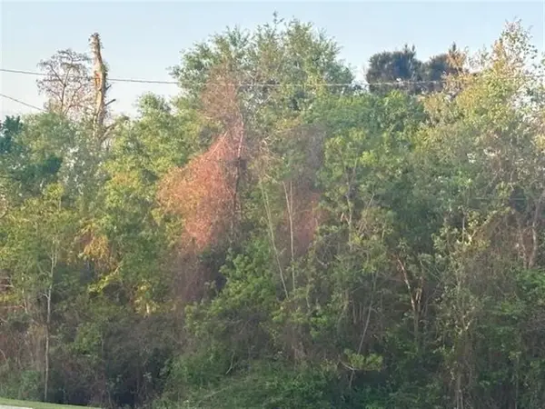 0 Big Woods Edgerly Road, Vinton, LA 70668