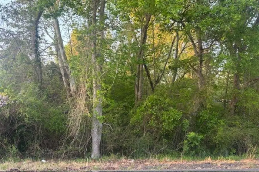 0 Big Woods Edgerly Road, Vinton, LA 70668 - #2