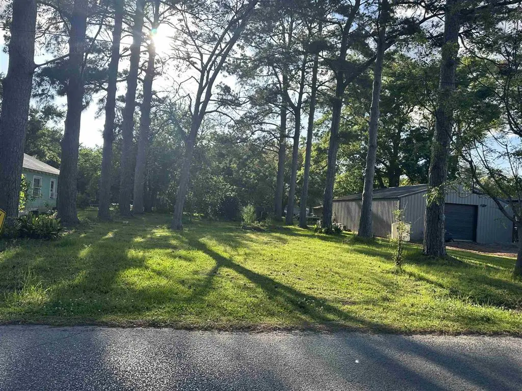 S Lewis Avenue S, Basile, LA 70515 - #1