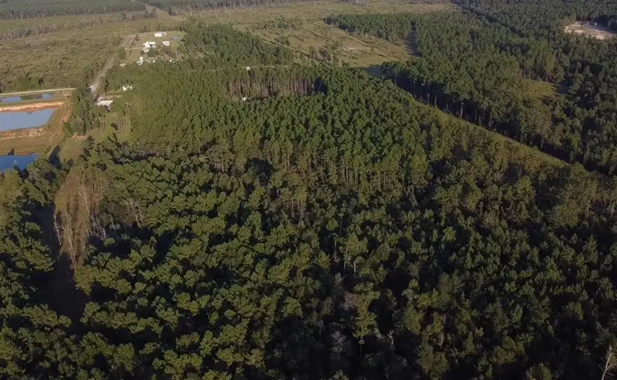 0 Alston Cemetery Road, Dequincy, LA 70633 - #3