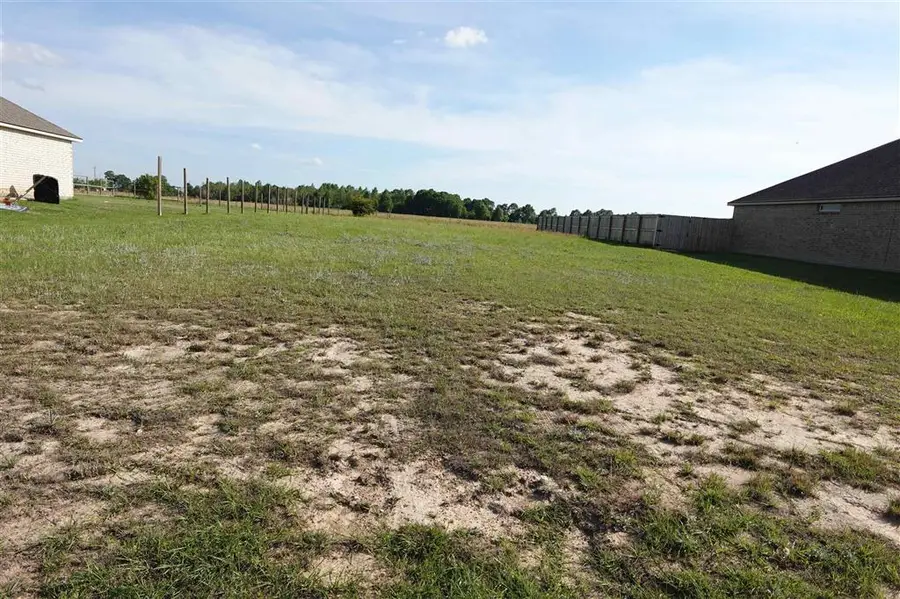 8087 Kinslee Lane, Iowa, LA 70647 - #2