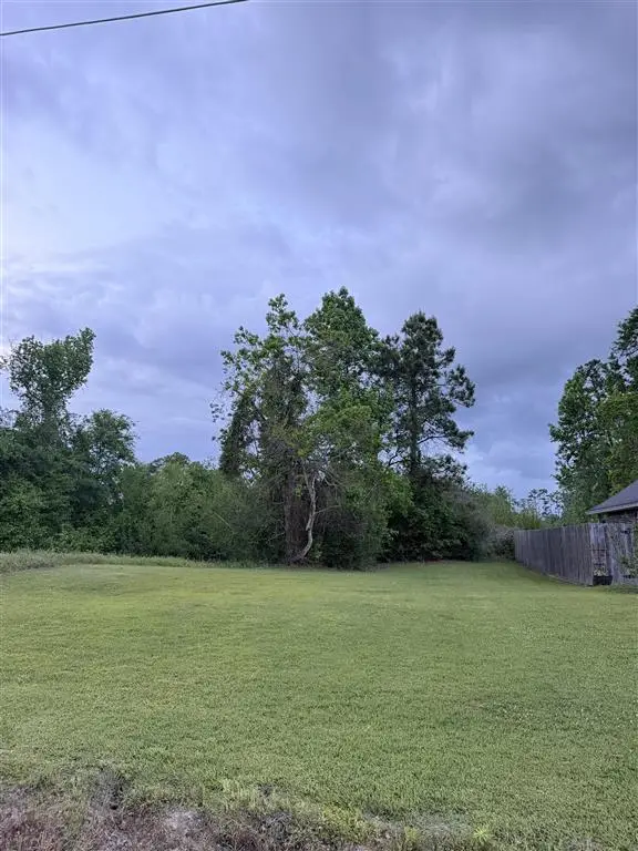 Ethel Drive, Lake Charles, LA 70611 - #2