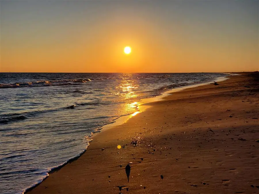 2116 Egret St Street, Cameron, LA 70631 - #3