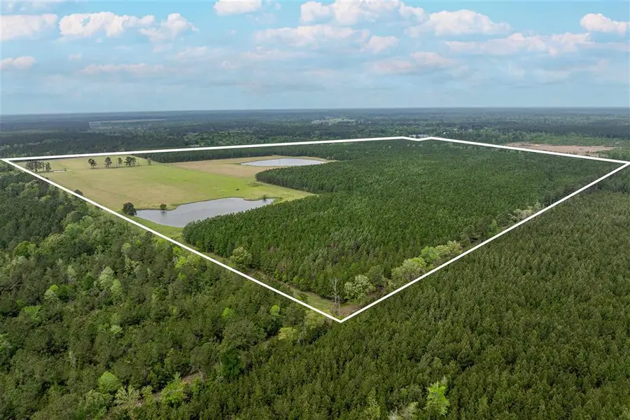 Hwy 113, Dry Creek, La, 70637, Dry Creek, LA  - #3