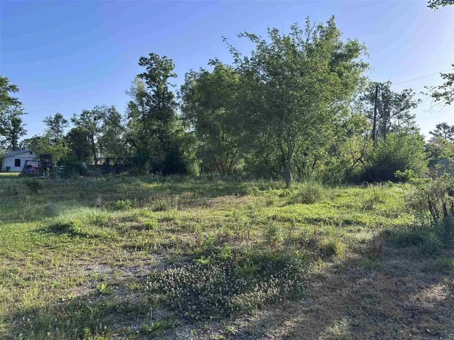 182 Calcasieu Avenue, Lake Charles, LA 70611 - #2