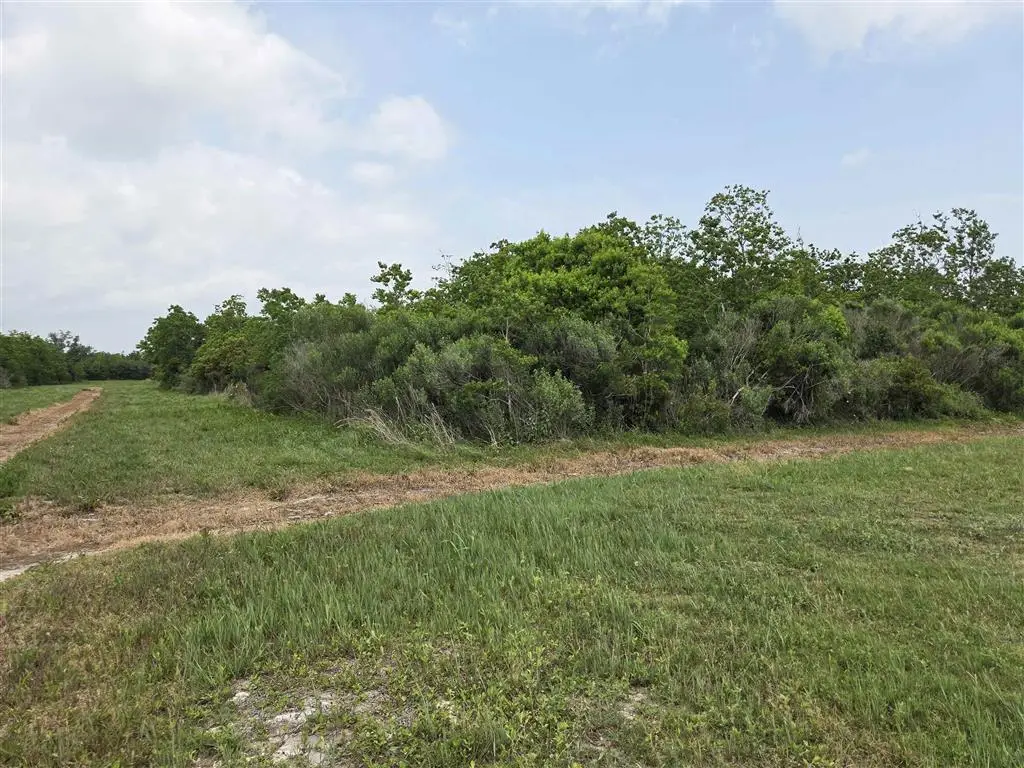 Christy Drive, Hackberry, LA 70645 - #1