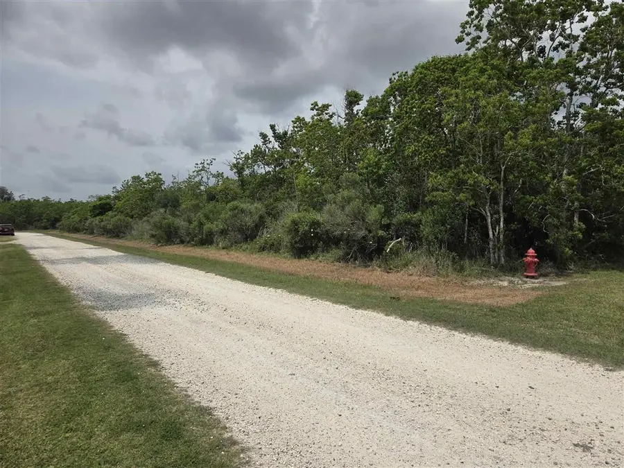 Christy Drive, Hackberry, LA 70645 - #3