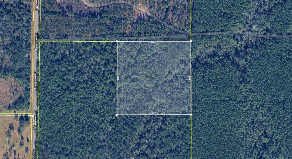 Hargrove Road, Singer, LA 70660 - #1