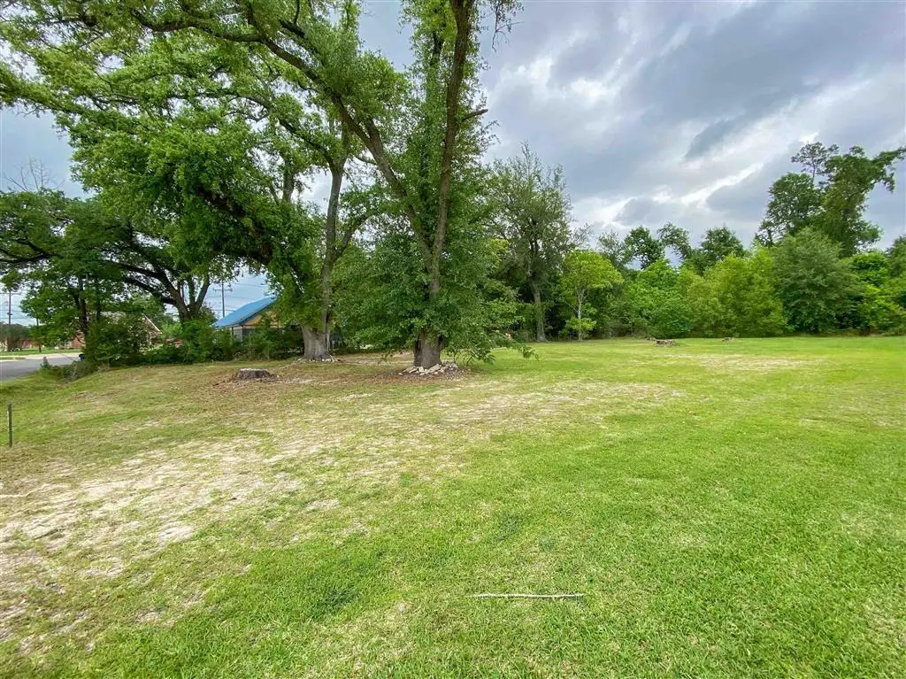 1504 Walker Lane, Sulphur, LA 70663 - #1