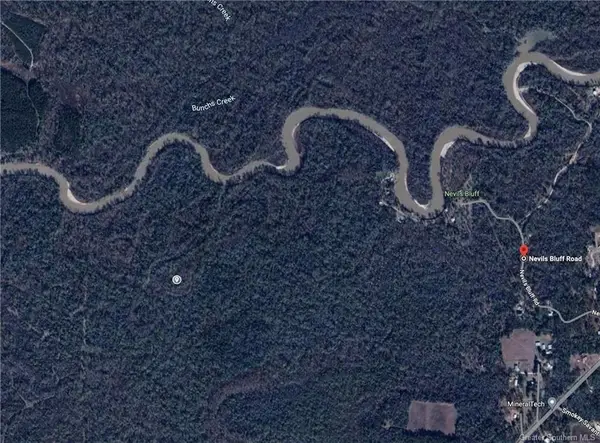 0 Nevils Bluff Road, Kinder, LA 70648