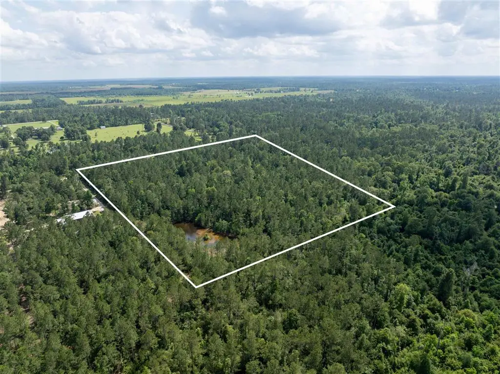 TBD Magnolia Church Road, Ragley, LA 70657 - #1