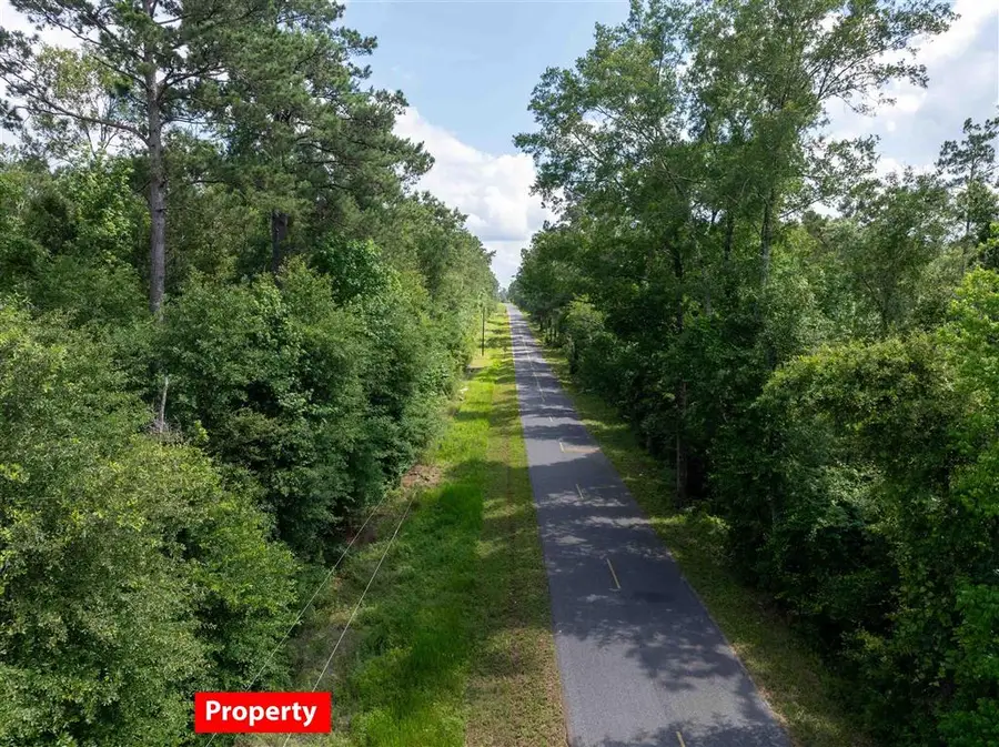 TBD Magnolia Church Road, Ragley, LA 70657 - #2