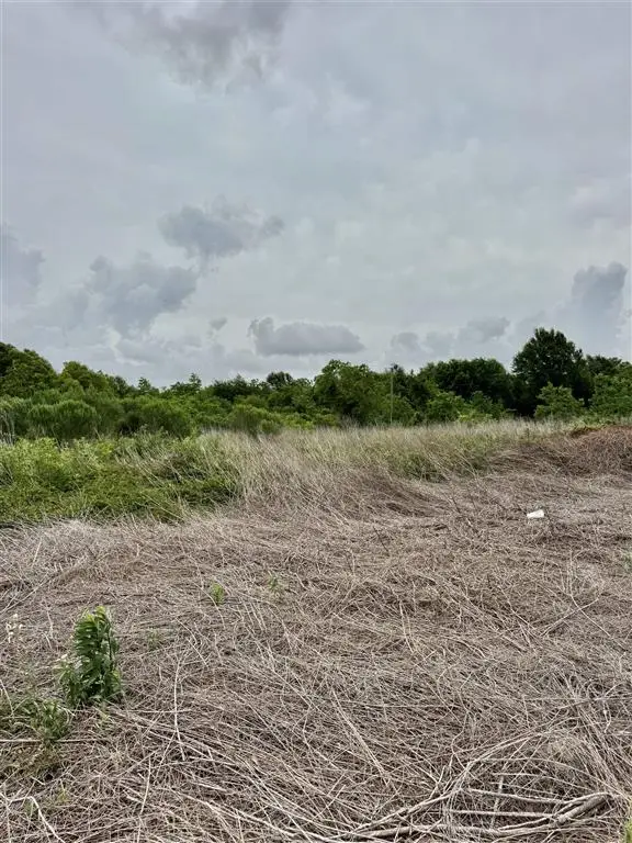 455 Dave Dugas, Sulphur, LA 70663 - #1