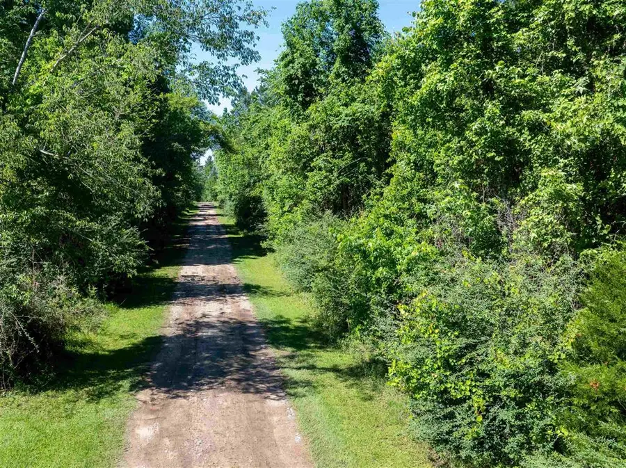 000 Morrow Bridge Road, Dry Creek, LA 70637 - #3