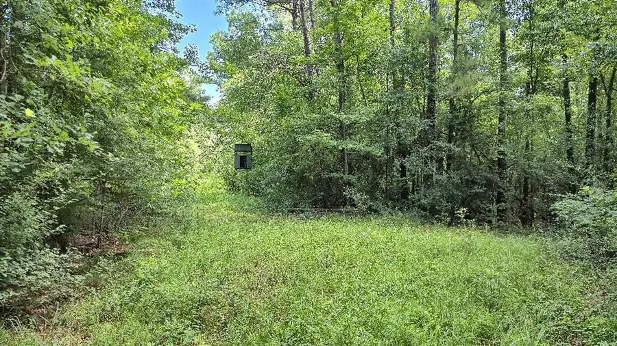 340 Adrian Guidry Road, Longville, LA 70652 - #2