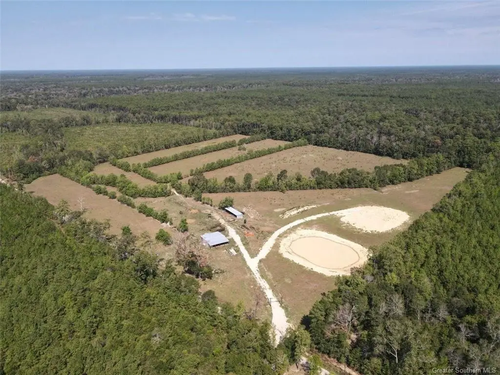 TBD Ward Line Road, Kinder, LA 70648 - #1