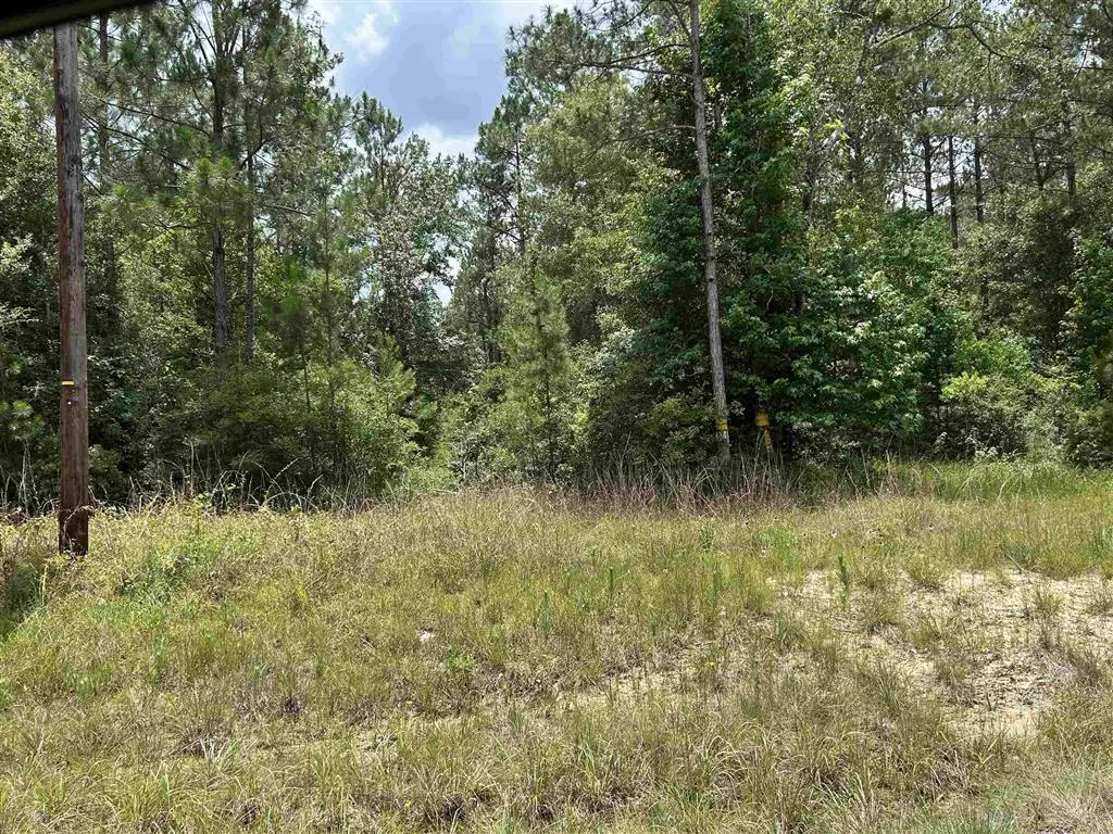 Hwy 389 Highway, Merryville, LA 70653 - #1