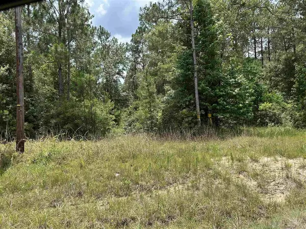 Hwy 389 Highway, Merryville, LA 70653