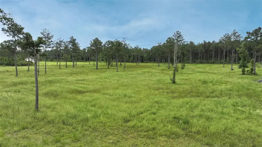 TBD Little Happy Ln, Deridder, LA 70634 - #2