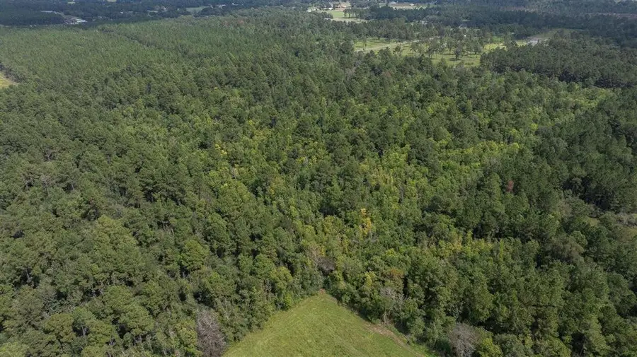 TBD Little Happy Ln, Deridder, LA 70634 - #3