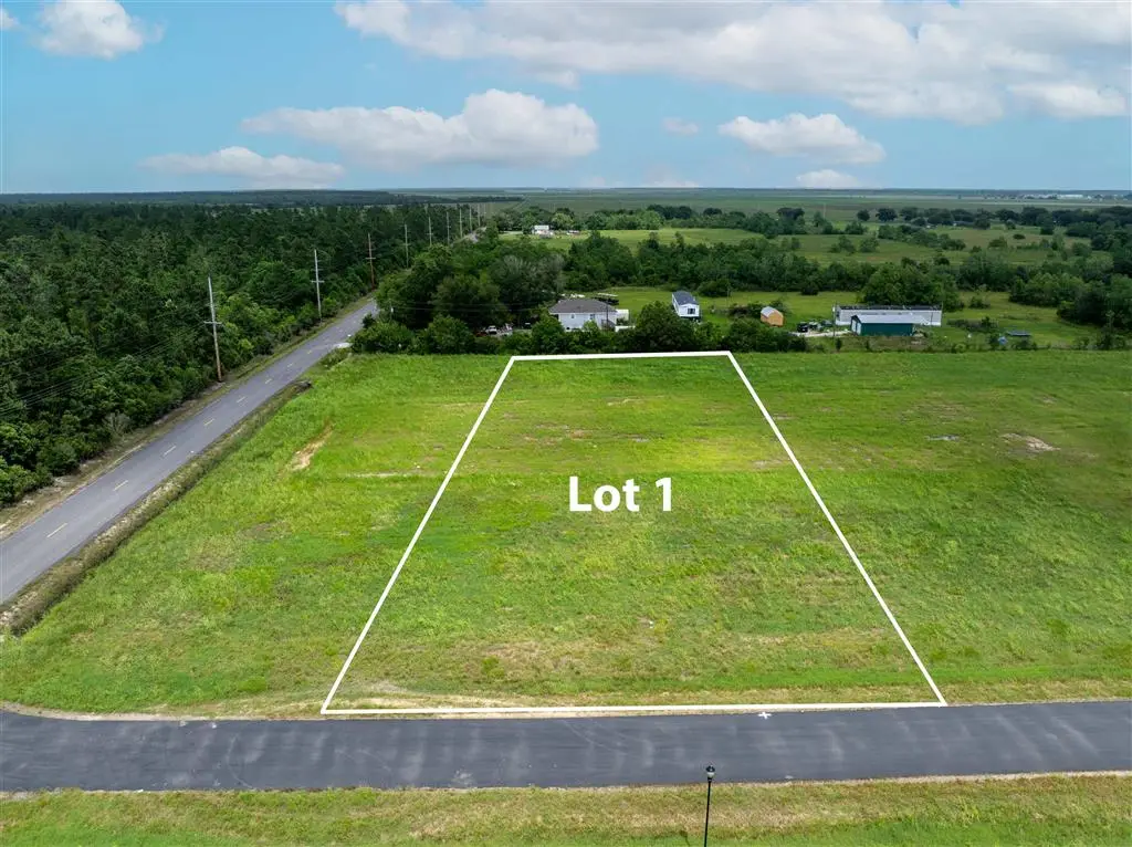 5016 Silver Willow Court, Iowa, LA 70647 - #1
