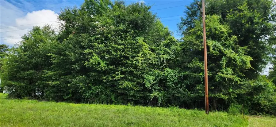 E Highway 190 E, Ragley, LA 70657 - #2