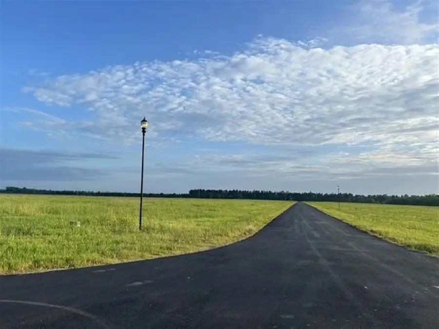 5117 Silver Willow Court, Iowa, LA 70647 - #3
