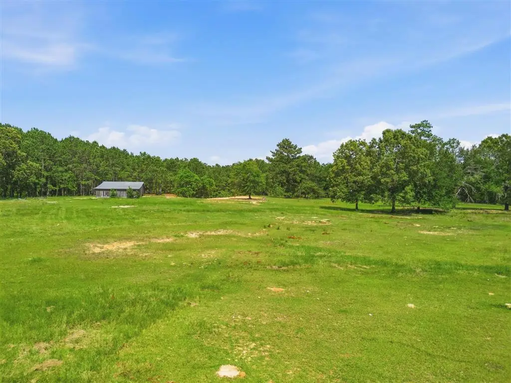 1262 Panhandle Road, Dequincy, LA 70663 - #1